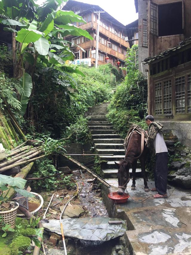 天门可逆锤式破碎机
