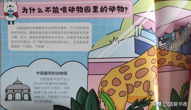 当孩子总是问你为什么的时候，请善待孩子的每一个提问