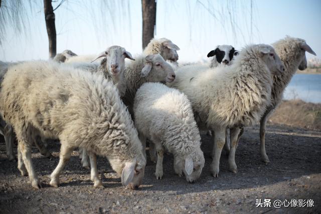 潮白河旅游区