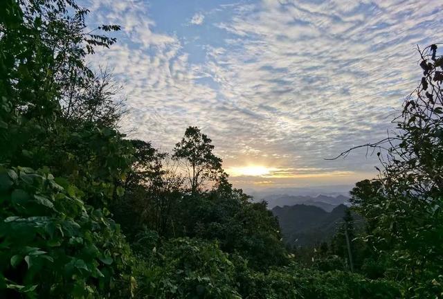 孕育未来希望 阻断母婴传播