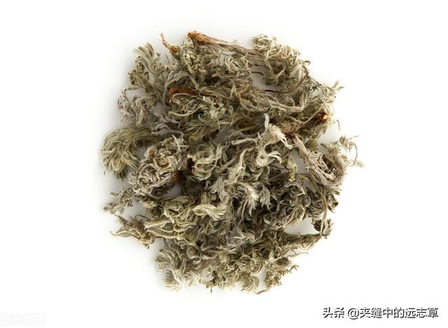 痛风，关节红、肿、热、痛？一剂当归拈痛汤，帮你统统搞定