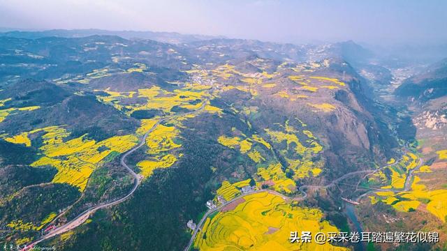 云南罗平油菜花