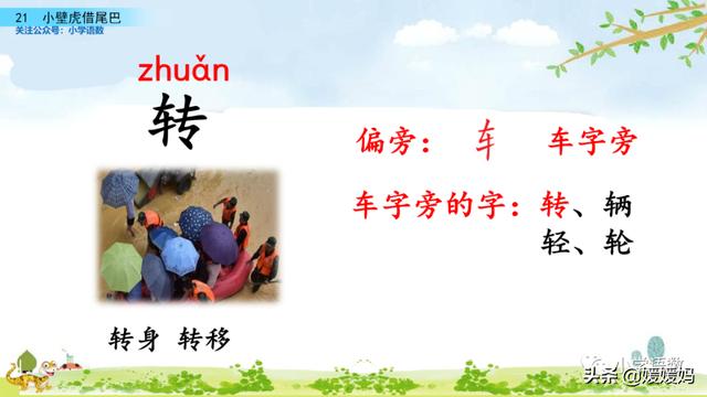一年级下册语文课文21《小壁虎借尾巴》图文详解及同步练习