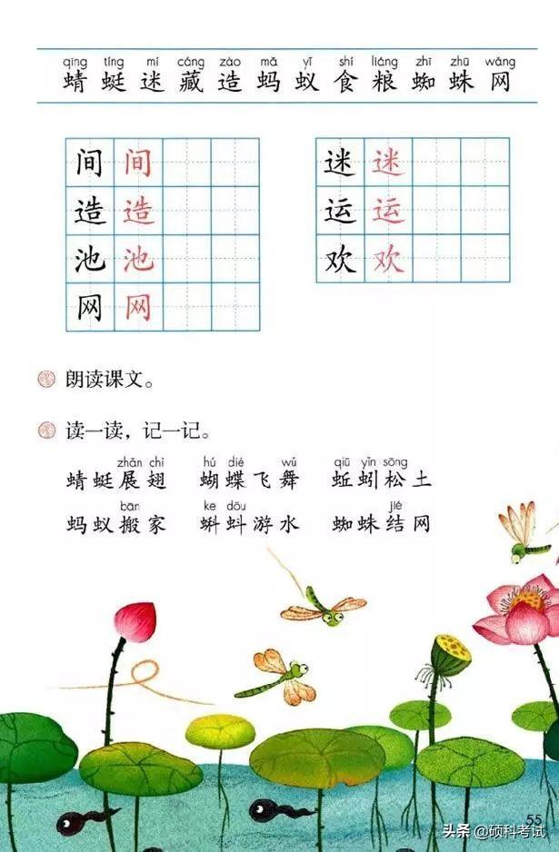 蜻的组词