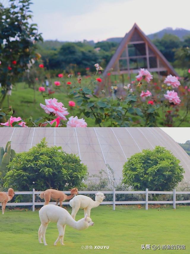 厦门哪里适合团建