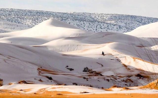 厄尔尼诺与拉尼娜现象的区别（哪个危害更大）