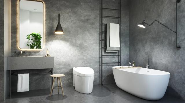 嚷嚷着要买智能马桶，但你对智能马桶真的了解吗？