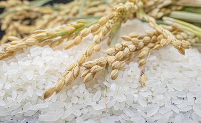 重阳节，癌症患者怎么能过得有滋有味？