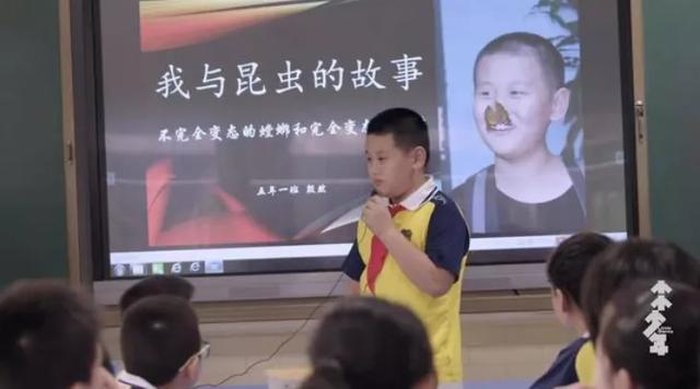 孩子的人际交往，父母干不干预，结果截然不同