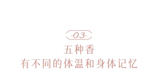 土耳其身体乳成分