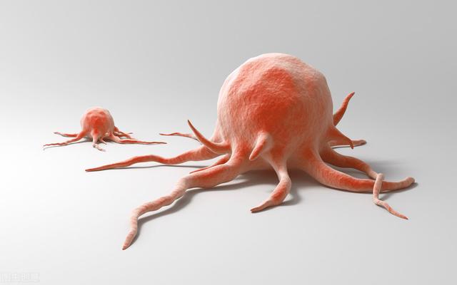 化疗后白细胞下降？医生：多吃这3类食物，或能增加白细胞