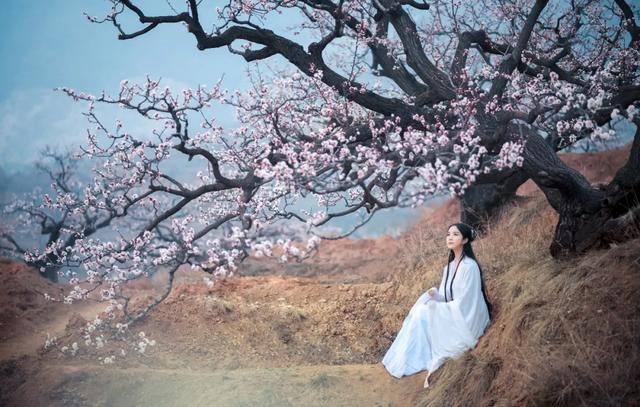 最高级的养生：少