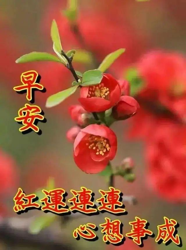 温馨早安问候短信句子早安群发祝福表情图片