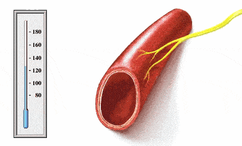 「世界保健日」中老年人保健看这里