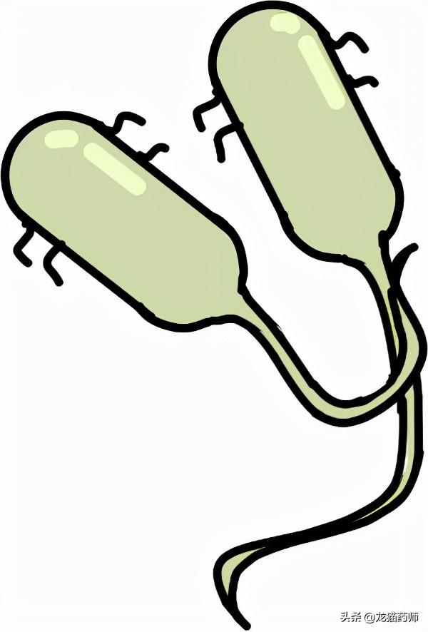 母乳喂养常见问题—乳汁淤积和乳腺炎