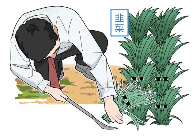 传承数千年的中医正骨，这些“功效”不要相信，都是骗人的