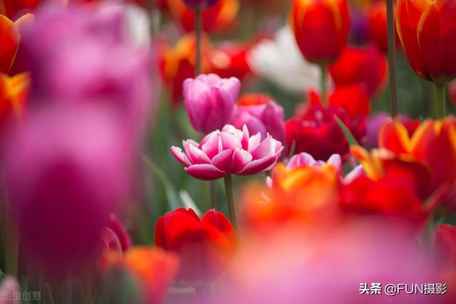 15个手机摄影技巧，带你玩转<a href=https://maguai.com/list/256-0-0.html target=_blank class=infotextkey><a href=https://maguai.com/list/256-0-0.html target=_blank class=infotextkey>朋友圈</a></a>，旅拍手机摄影攻略