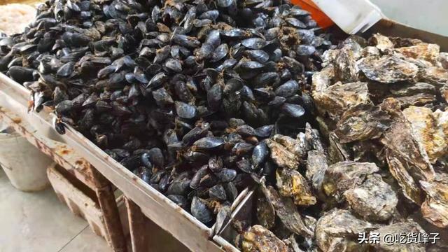 海蛎子怎么吃好吃（海蛎子的家常做法）