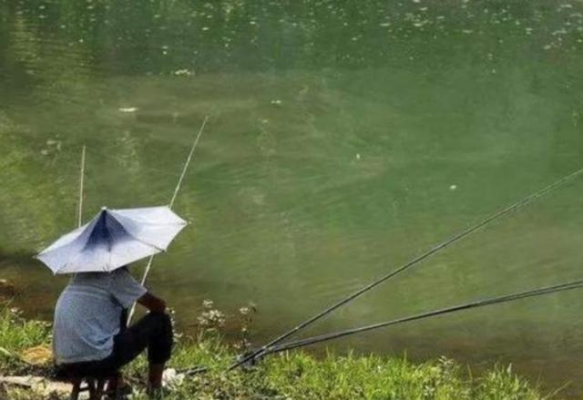 “女儿奴”越来越多，夫妻不再追求“养儿防老”，这一变化是为何