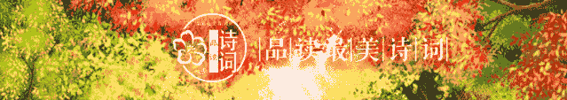 芙蓉花有几种