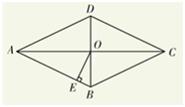 菱形性质，菱形是特殊的平行四边形吗初中数学？