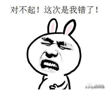 apologize是什么意思 apologize是什么意思（apologize是什么意思英语） 生活