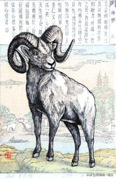 生肖羊的意思是什么意思