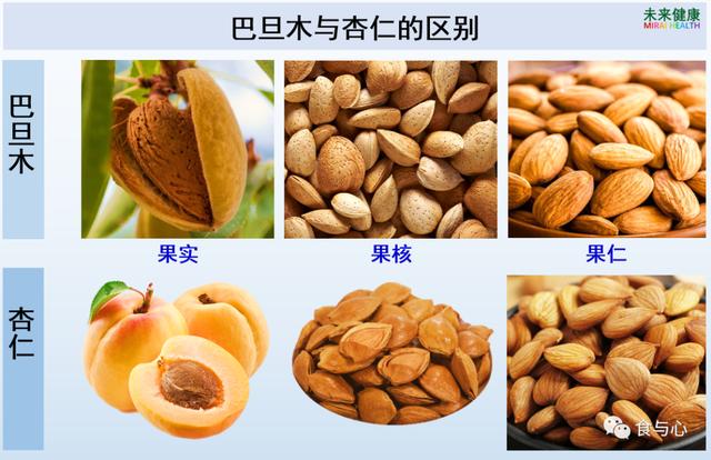 一周健康晚餐106：“大杏仁”的12项健康益处和5个食用注意事项