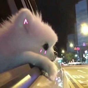 Yores