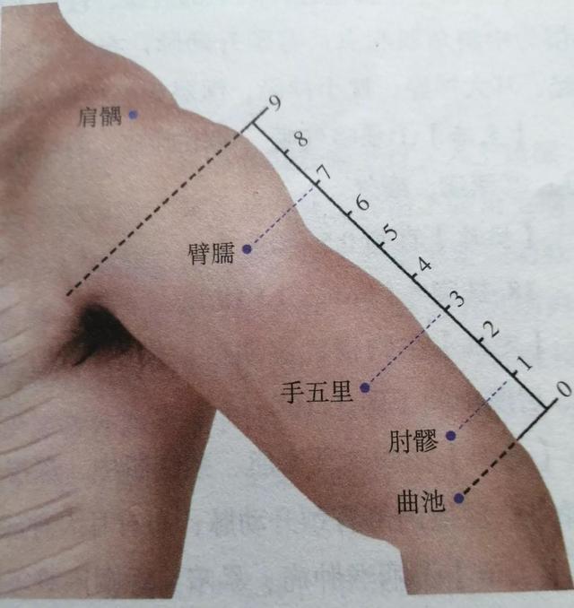 每日一穴……曲池穴