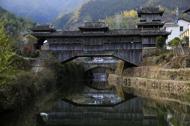 【我要去慶元避暑】不出省的療休養，就躲進避世的山野中享樂吧！