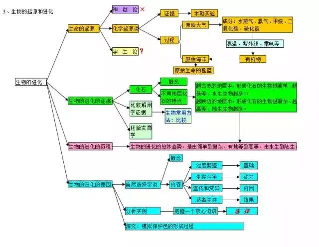 初中各科思维导图全汇总（语文、数学、地理、历史、化学、生物）