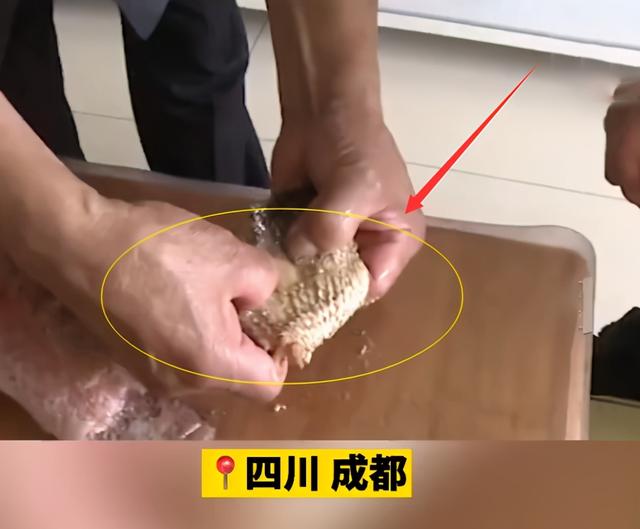 脆肉鲩为什么脆？