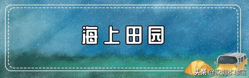 万万没想到！宝安有这么多好玩还不要钱的地方！你都去过了吗？