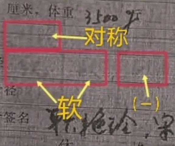 许妈丢失的《新生婴儿记录二》如何重见天日的，来看文字版解析