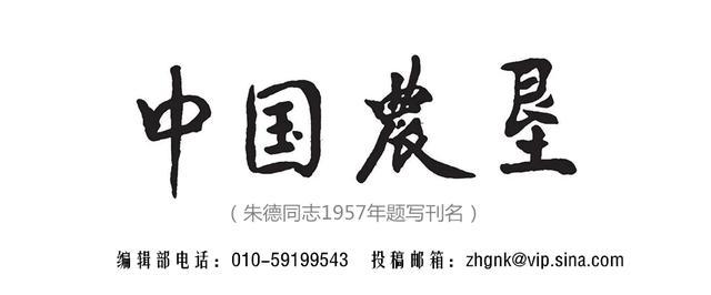10月29号青岛工程机械展