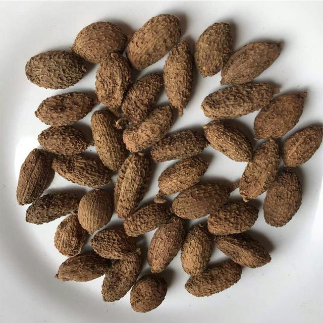 中药｜芳香利湿，健胃醒脾