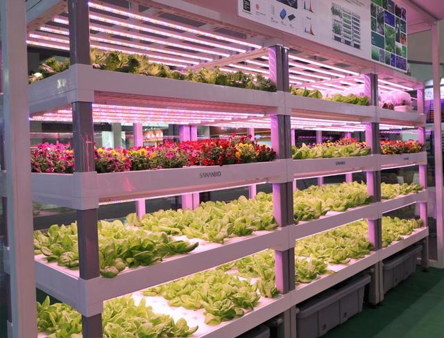 农业科技工程专题展