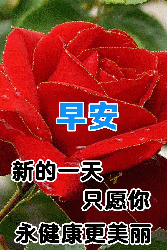 567_850竖版 竖屏gif 动态图 动图