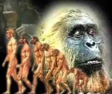 人类的祖先究竟怎样演变而来的 人类的诞生又是从哪里开始的 Zh中文网