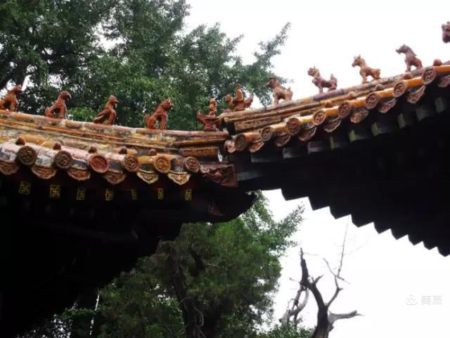 最好的教育是与孩子一起做她喜欢的事情