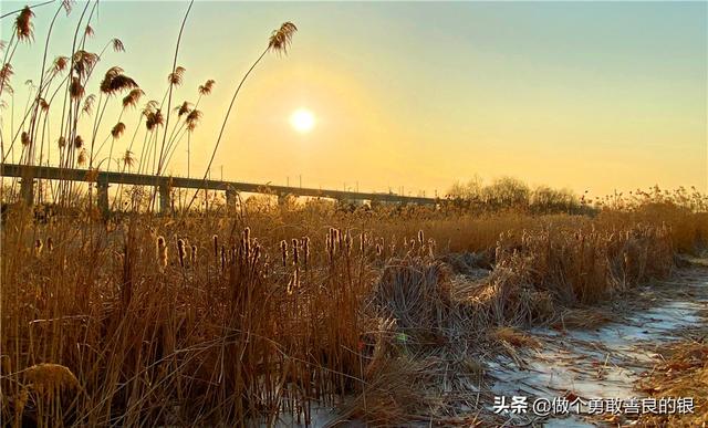 一米阳光图片