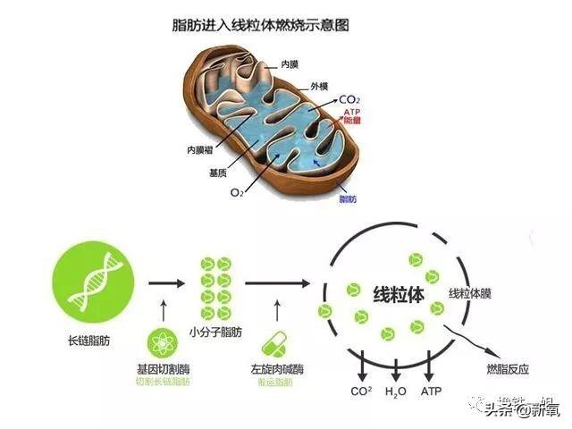 vt设置的危害（vt模式对电脑危害）