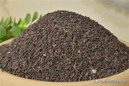 每日一中药——车前子