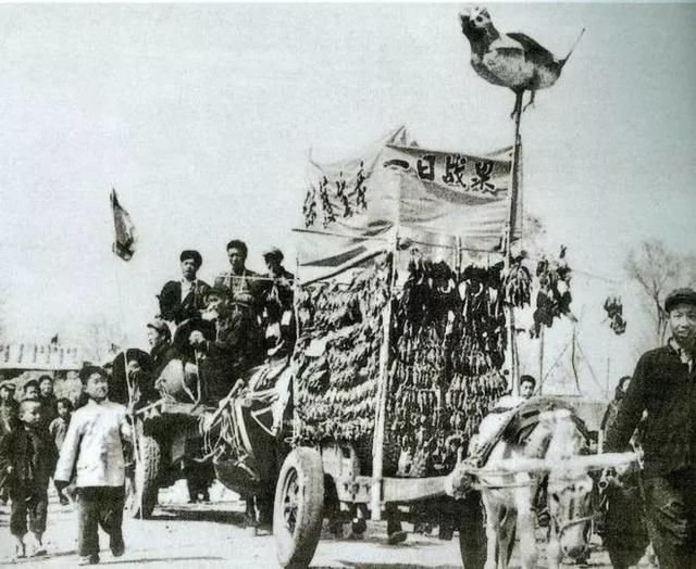 曾是四害之一的麻雀，部分还是进口货？中国的麻雀都去哪了？ - 太阳信息网