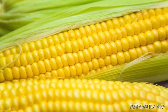 立冬前后，最适合吃5菜5果，含钾高，价格便宜，营养美味顺利入冬