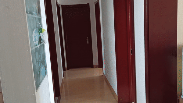 给云台装上了眼睛，浩瀚V2手机云台，做你的智能跟踪小助手