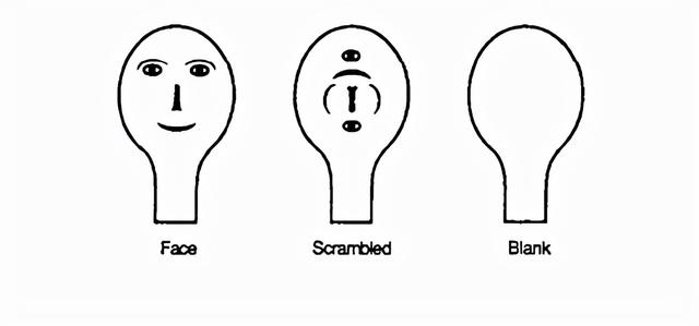 俏管家，为什么宝宝爱打妈妈的脸背后藏着你不知道的婴幼儿心理学