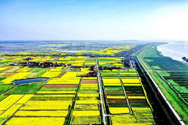 点赞！岳阳县中洲乡变废为宝 化解污染耕地难题