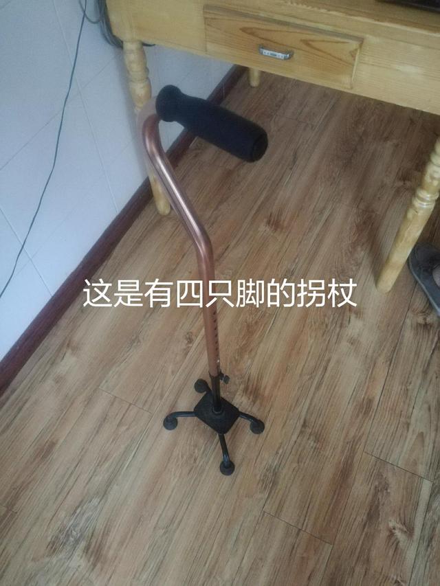 老年人的娱乐生活和安全